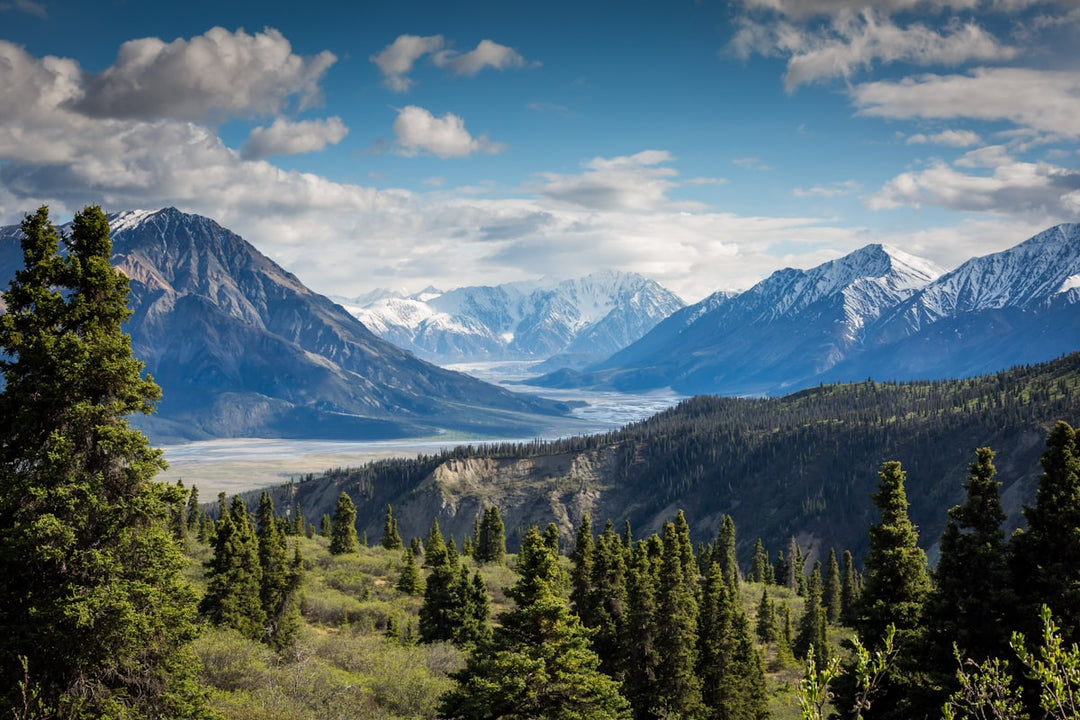 Hiker on mountain ridge — best softshell jackets NZ
