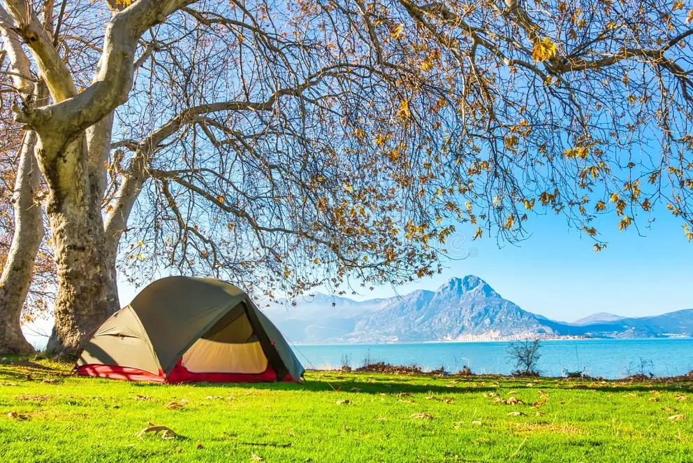 MSR tent pitched under tree by alpine lake — MSR NZ at Dwights