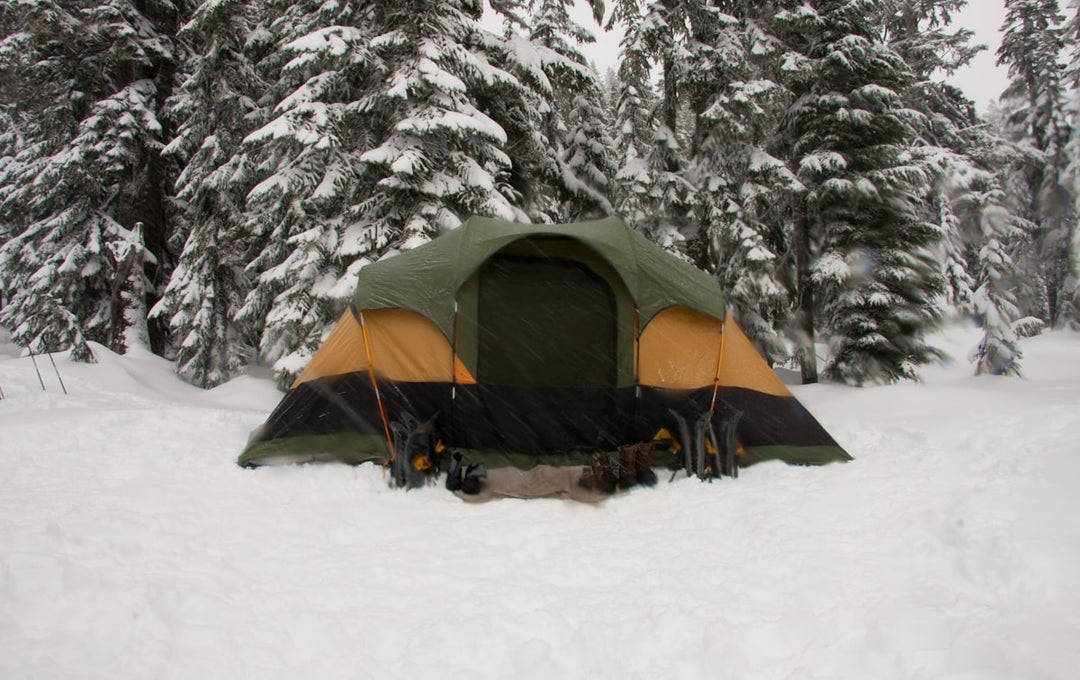 Tent pitched in snow among trees — winter camping NZ guide