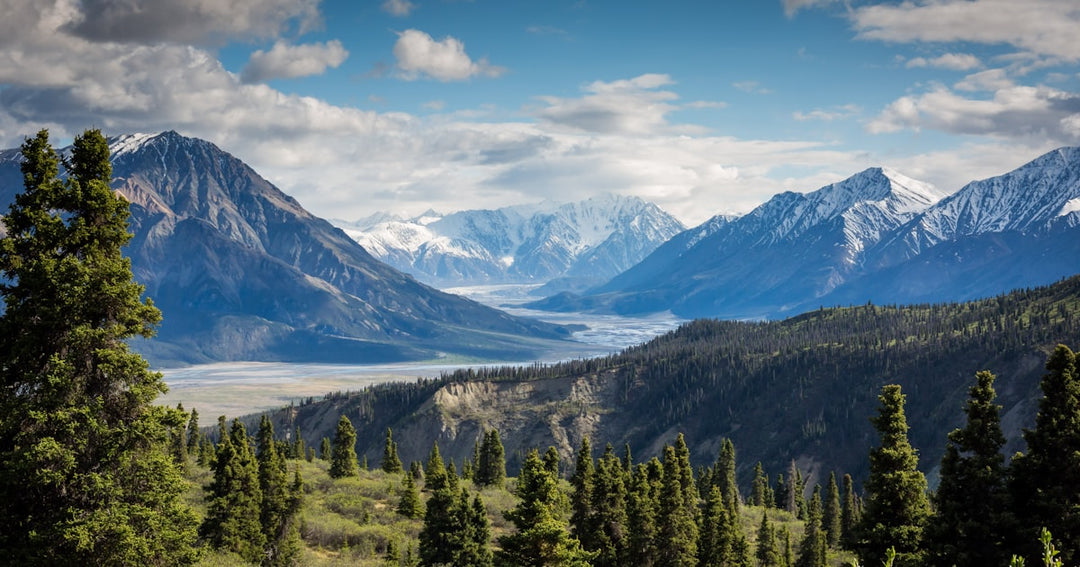 Best hiking poles and trekking poles for NZ tramping 2026