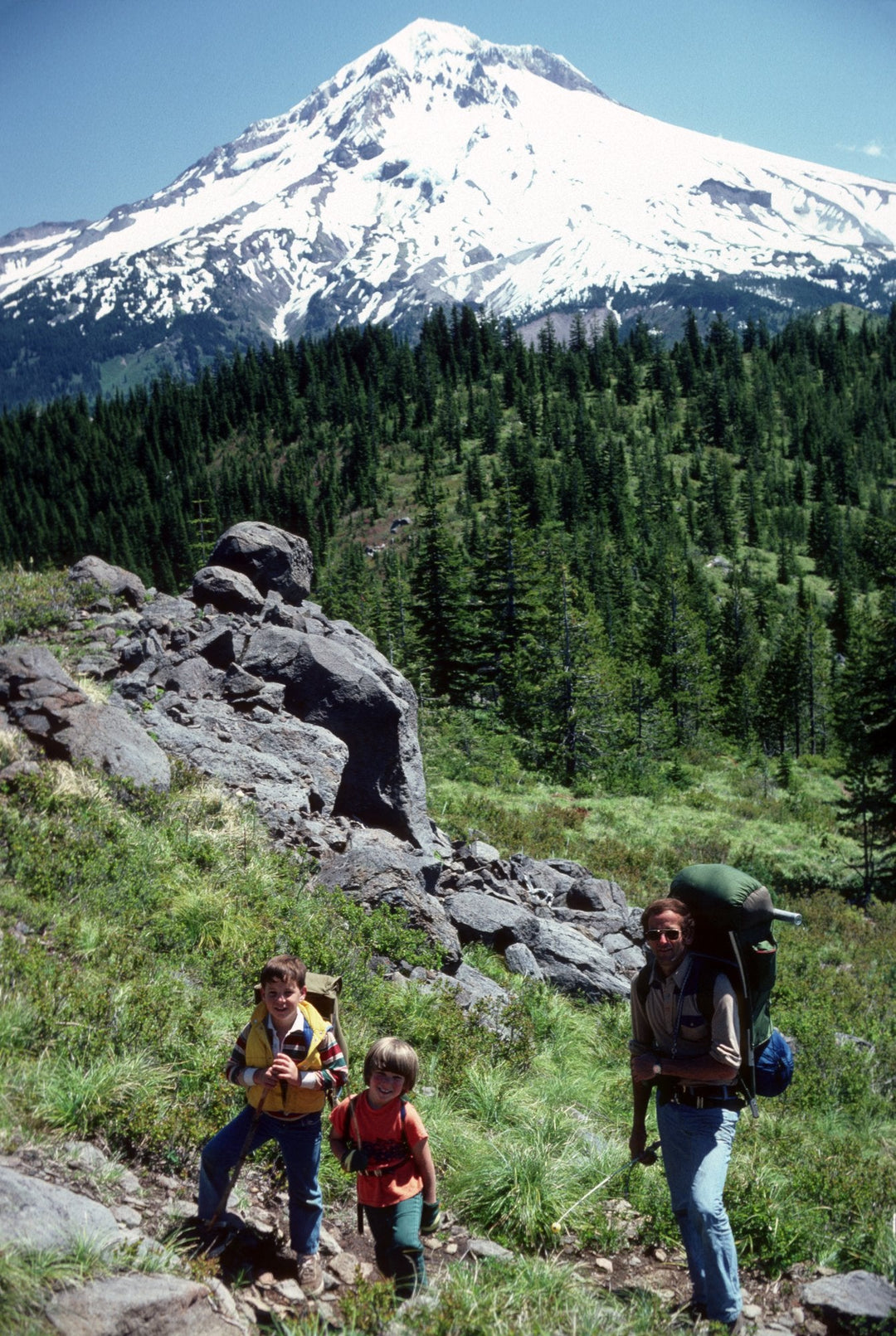 Best Hiking Backpacks NZ 2026 — Top Picks for Day Hikes and Multi-Day Tramps