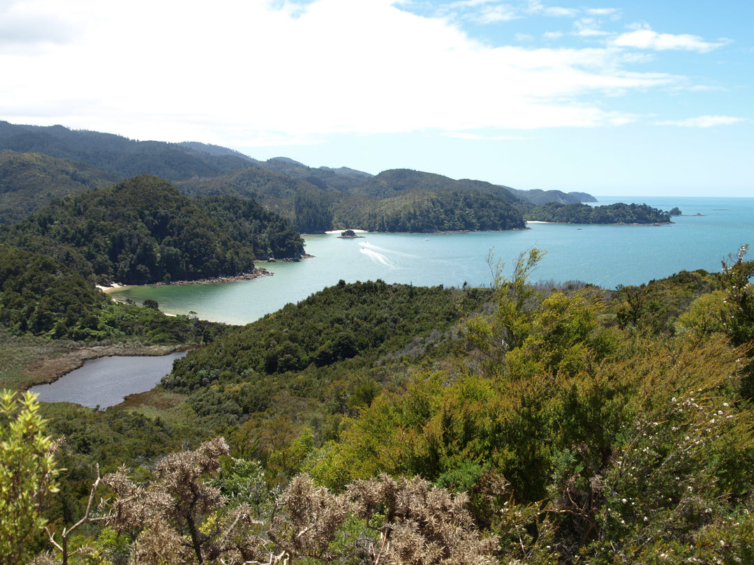 Family Camping Guide NZ 2026 — Tips, Gear and Campsite Ideas for NZ Families