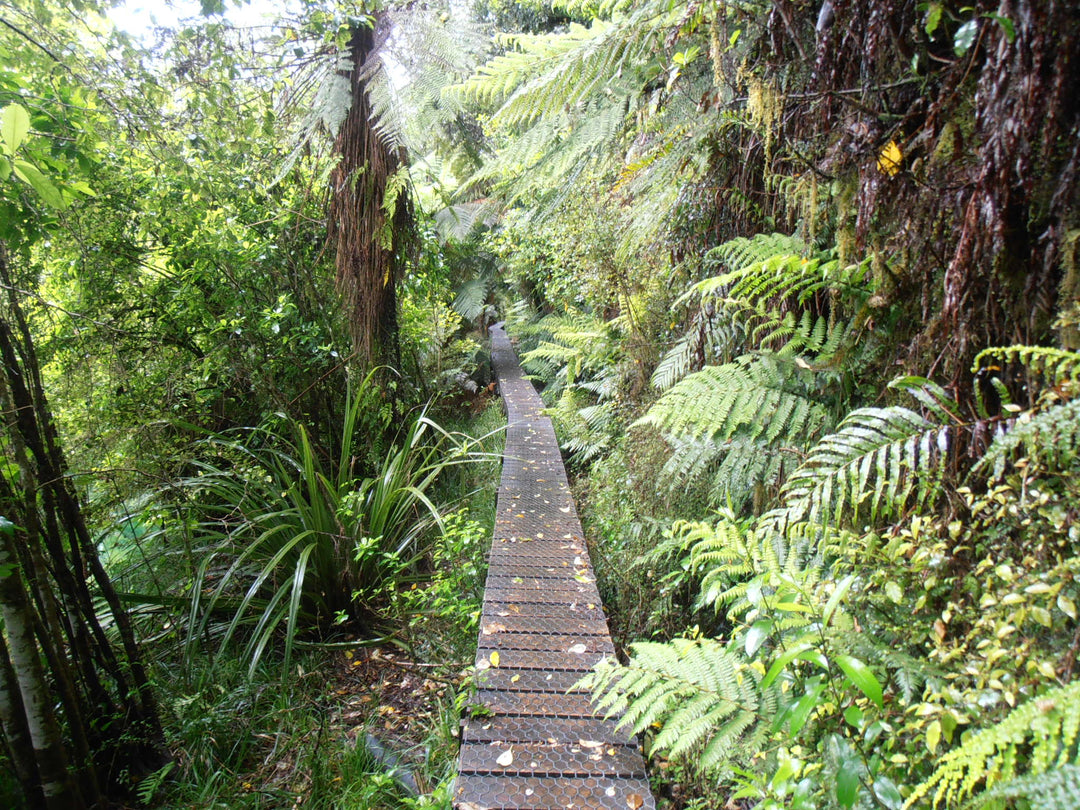 Best Hiking Socks NZ 2026 — Top Merino and Wool Socks for Tramping