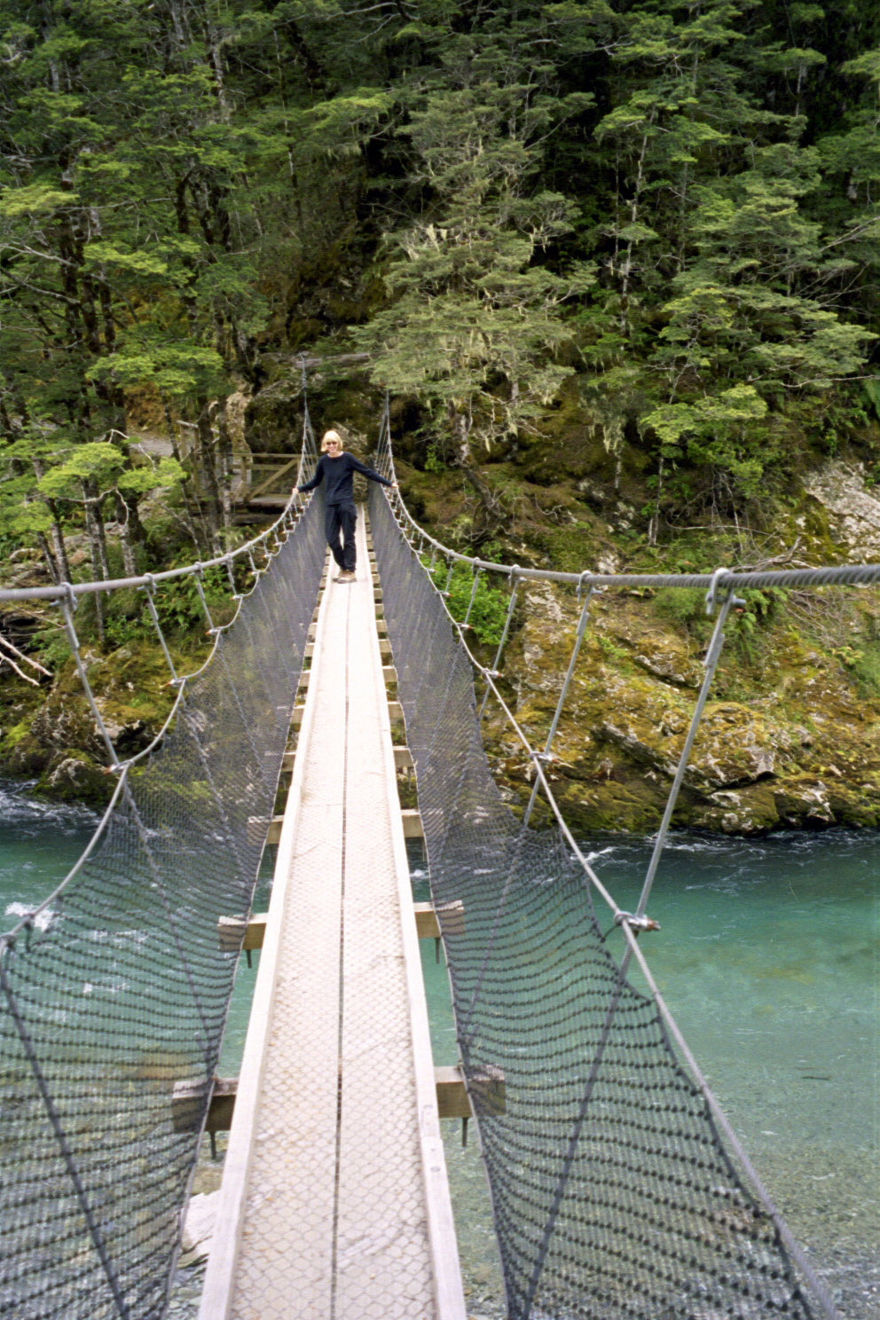 NZ Great Walks Guide 2026 — Which One Is Right for You?