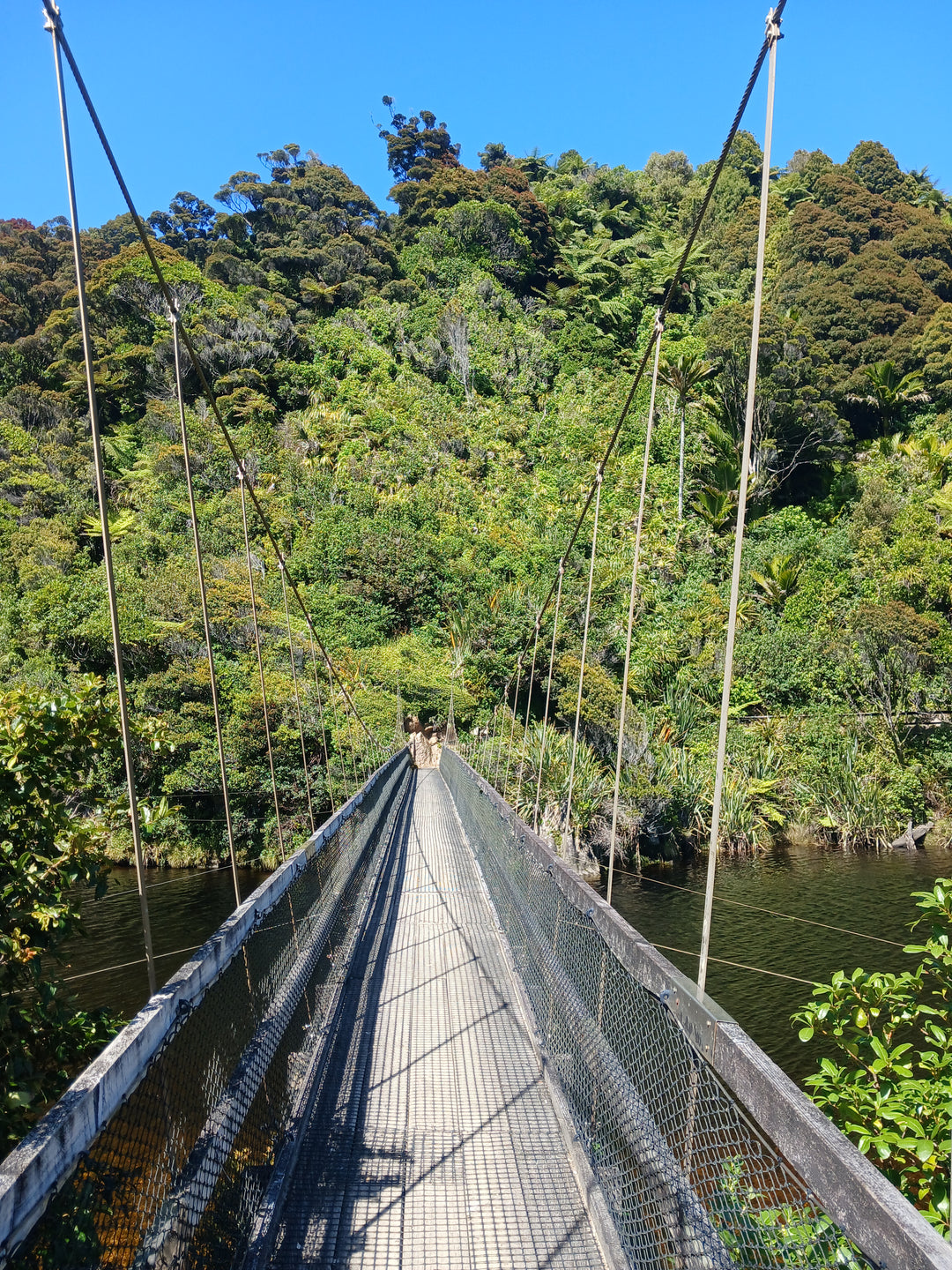 Best Water Filters NZ 2026 — Top Picks for Safe Drinking Water on the Track