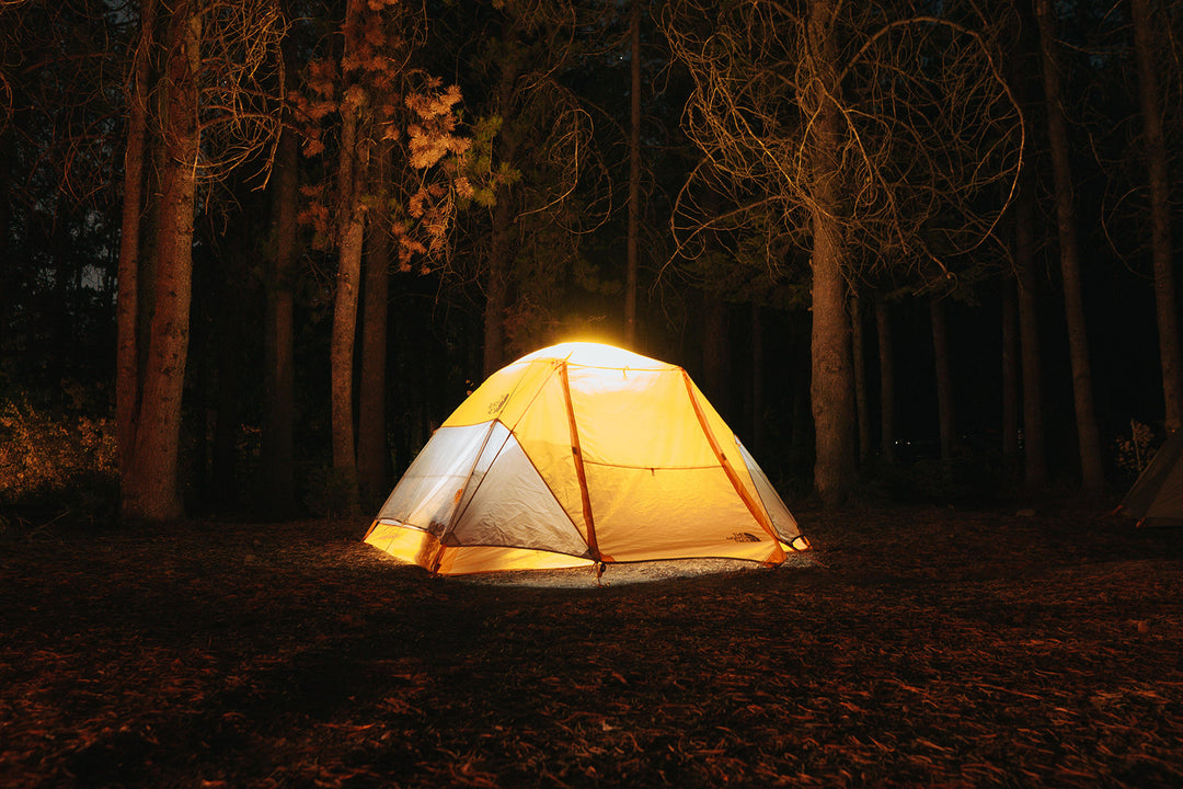 hiking tent in the bush