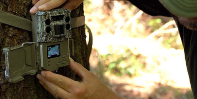 trail camera nz