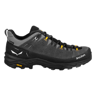 Salewa Mens Alp Trainer 2 Gore-Tex Shoe