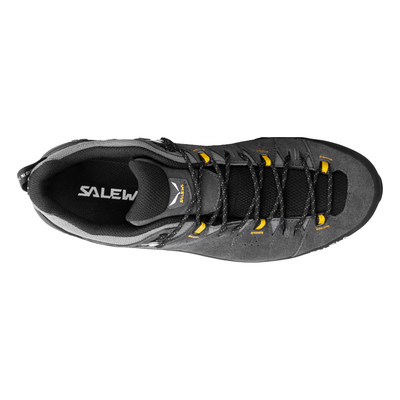 Salewa Mens Alp Trainer 2 Gore-Tex Shoe