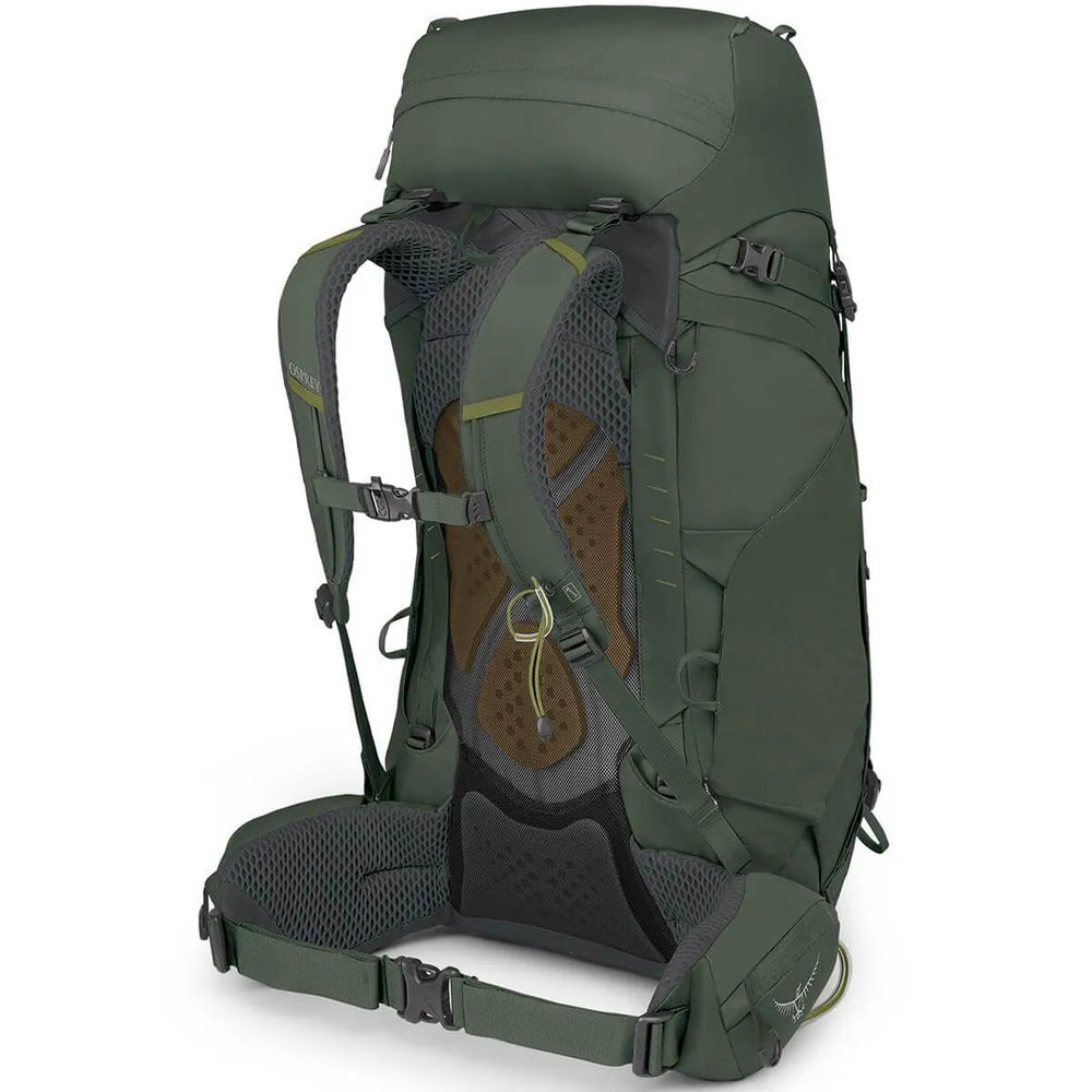 Osprey Kestrel 48 in Bonsai Green, harness and backpanel view