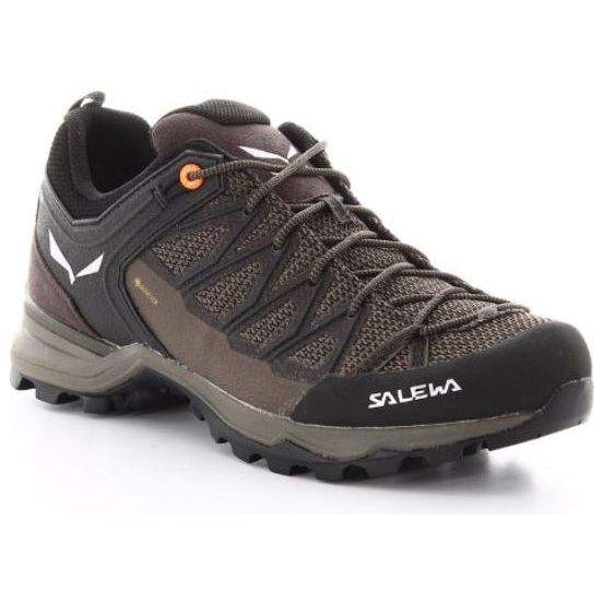 Salewa Mens Mountain Trainer Lite Gore-Tex Shoes