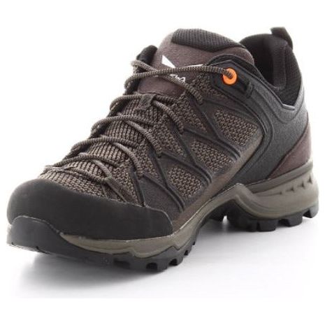 Salewa Mens Mountain Trainer Lite Gore-Tex Shoes